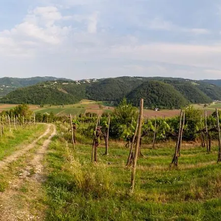 Fattoria Le Vegre Villa Arcugnano Exterior photo