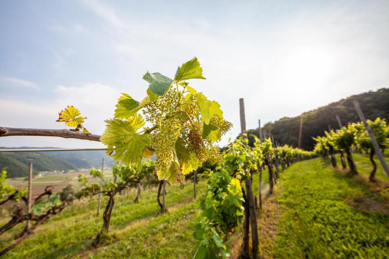 Fattoria Le Vegre Farm stay *