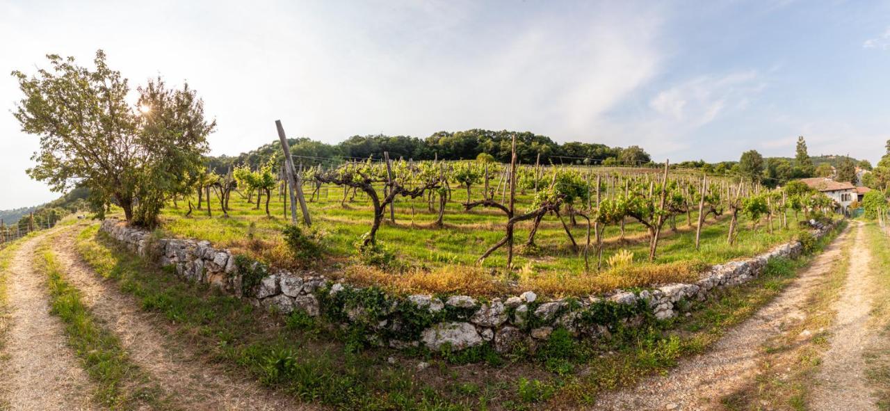 Fattoria Le Vegre Farm stay