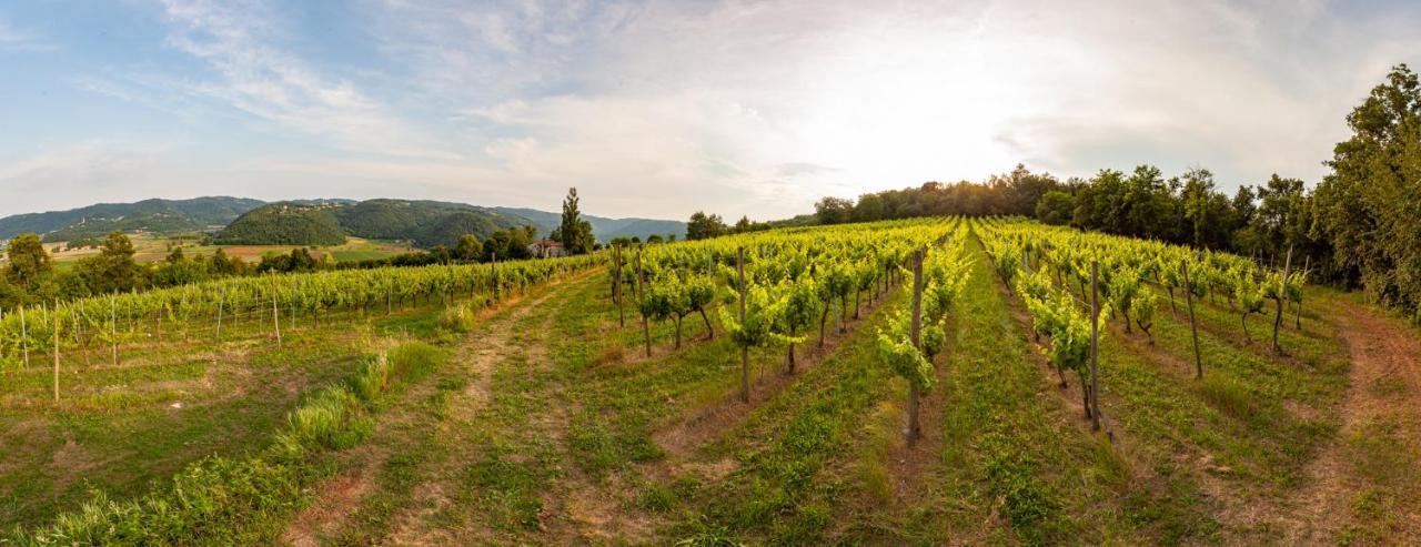Fattoria Le Vegre Farm stay
