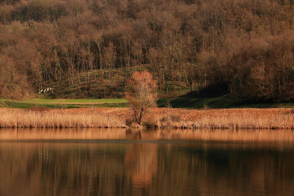 Farm stay Fattoria Le Vegre