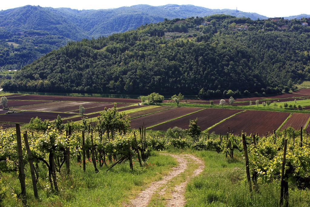 Fattoria Le Vegre *